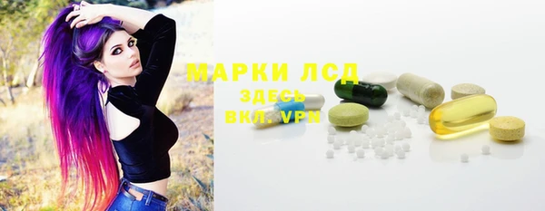 ПСИЛОЦИБИНОВЫЕ ГРИБЫ Заводоуковск